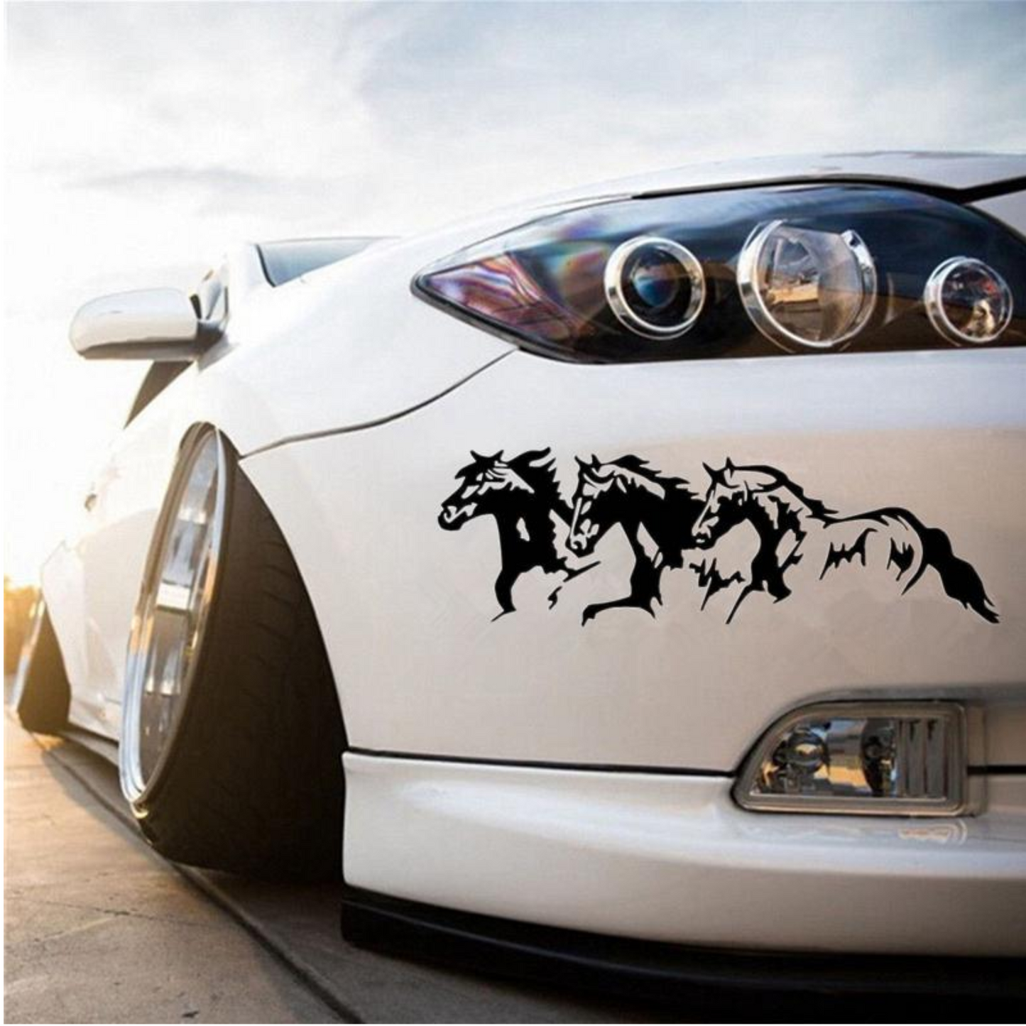 Sticker auto rezistent, herghelie de cai