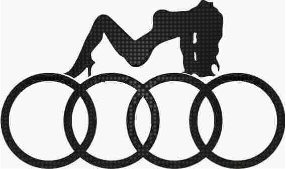 Sticker fata pe audi