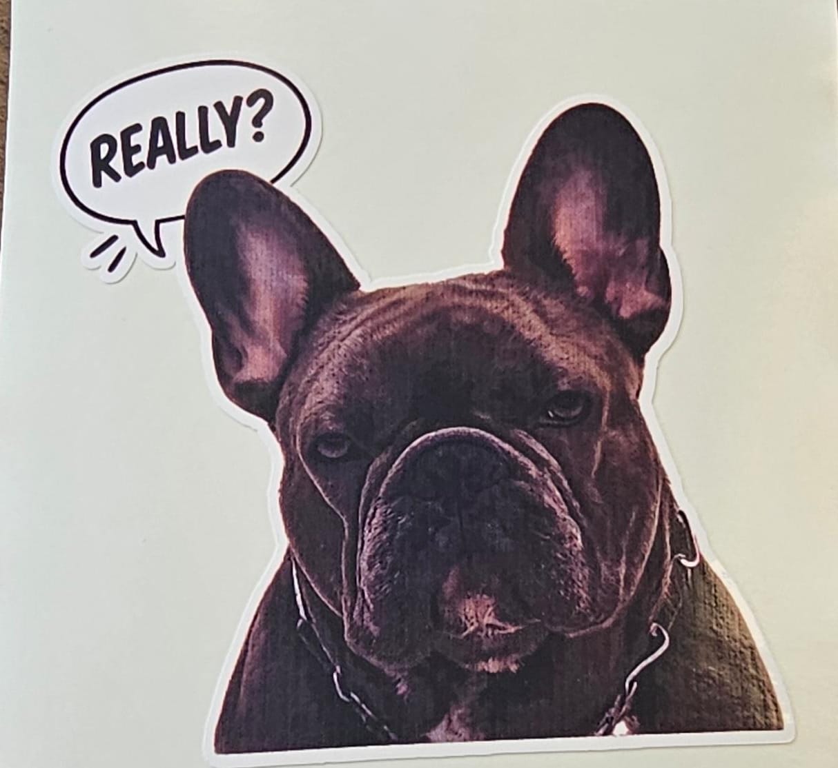 Sticker auto rezistent, bulldog francez, really