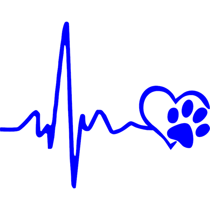 Sticker auto rezistent "I love cat''