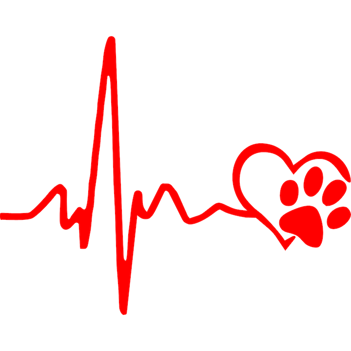 Sticker auto rezistent "I love cat''