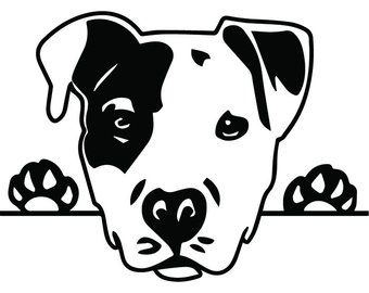 Sticker pitbull