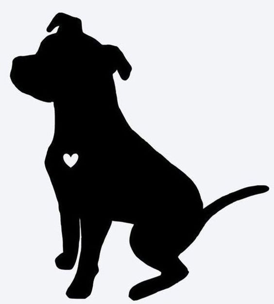 Sticker pitbull
