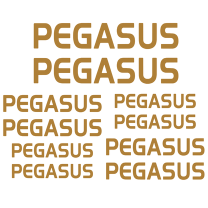 Set Stickere Bicicletă PEGASUS – 10 Piese – Autocolante Cadru Bicicletă