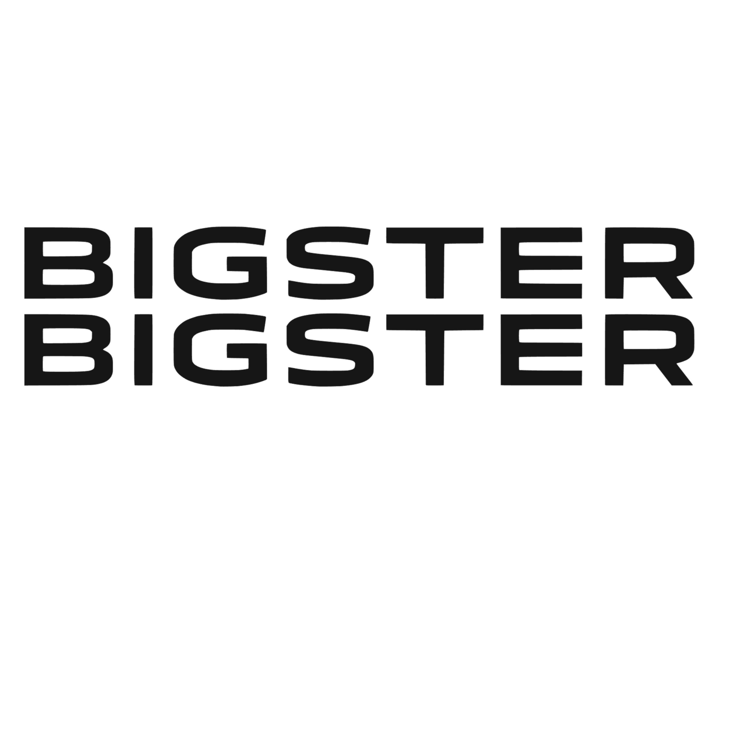 Set 2 Stickere auto Laterale Dacia, scris Bigster