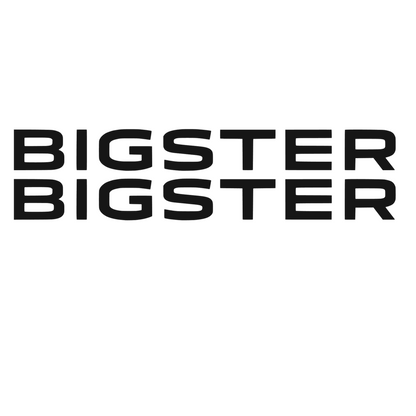 Set 2 Stickere auto Laterale Dacia, scris Bigster