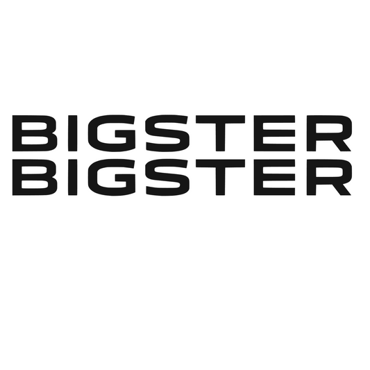 Set 2 Stickere auto Laterale Dacia, scris Bigster