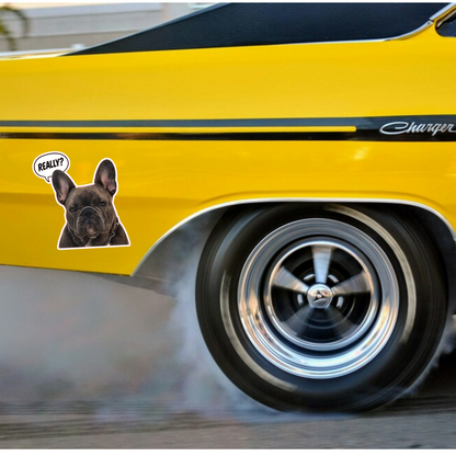 Sticker auto rezistent, bulldog francez, really