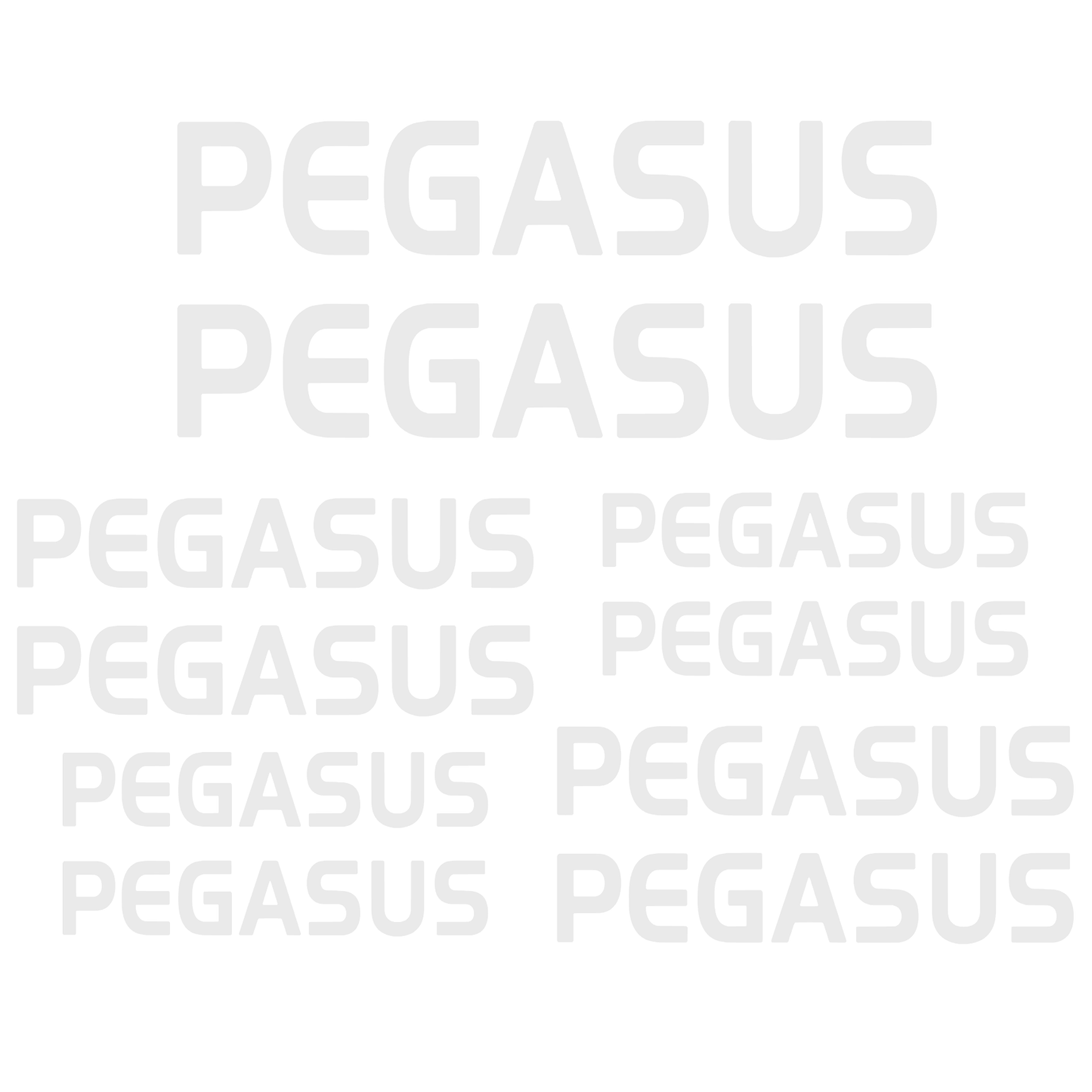 Set Stickere Bicicletă PEGASUS – 10 Piese – Autocolante Cadru Bicicletă