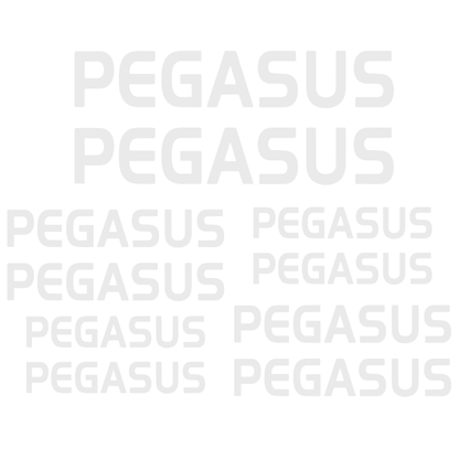 Set Stickere Bicicletă PEGASUS – 10 Piese – Autocolante Cadru Bicicletă