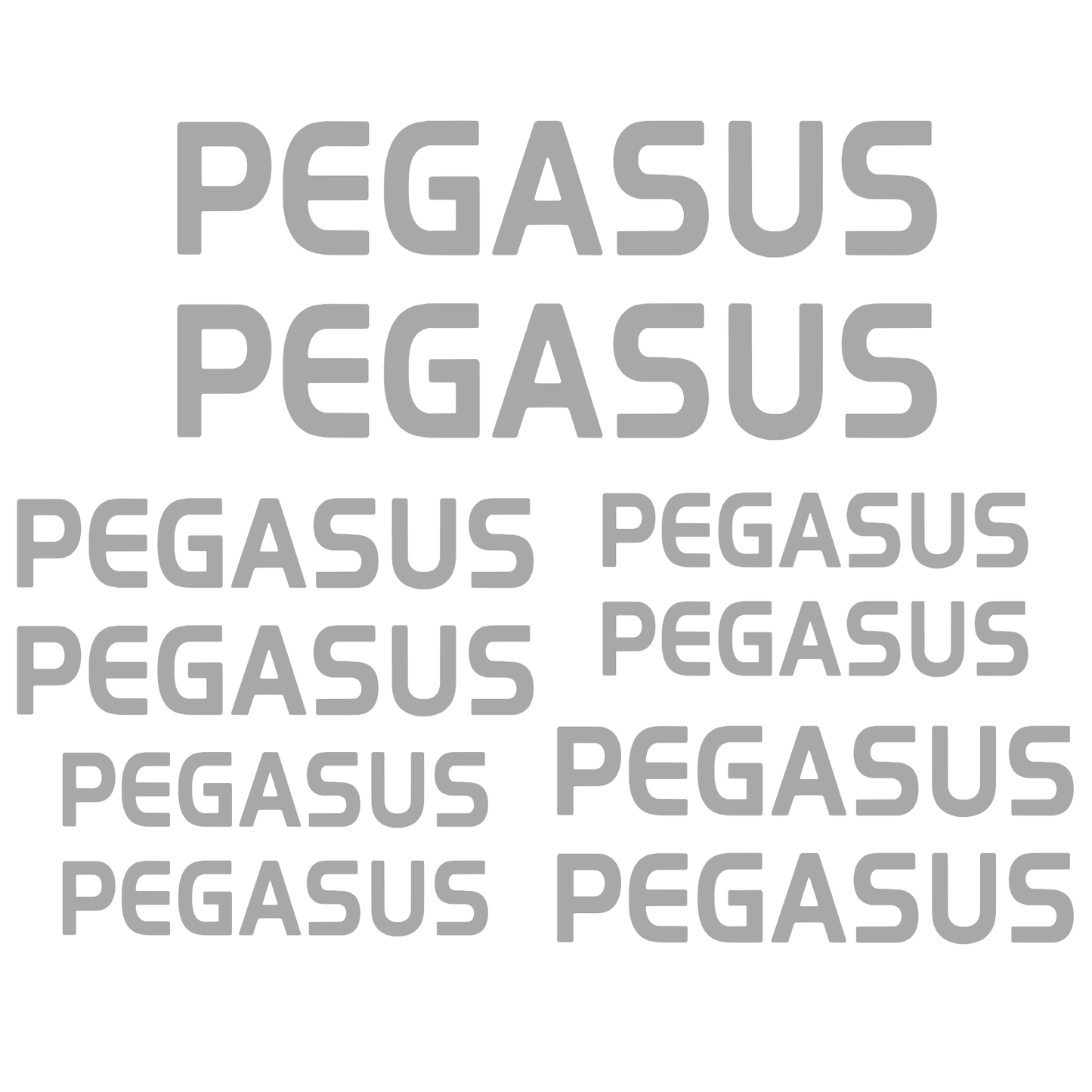 Set Stickere Bicicletă PEGASUS – 10 Piese – Autocolante Cadru Bicicletă