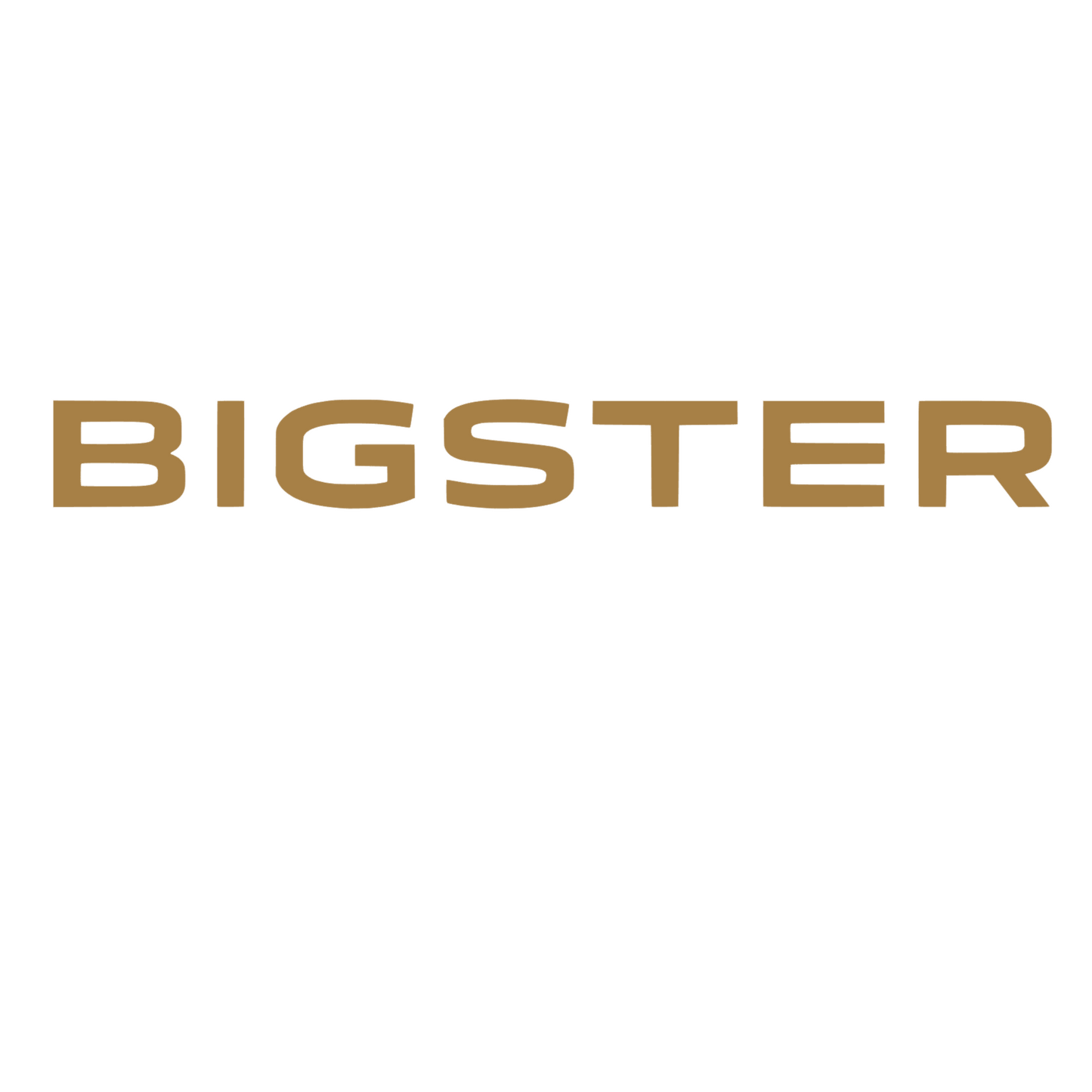 Sticker auto scris Bigster pentru capota sau caroserie