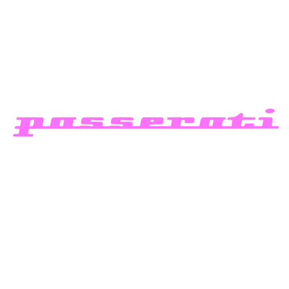 Sticker Auto Volkswagen Passat Vw ''passerati'' v2
