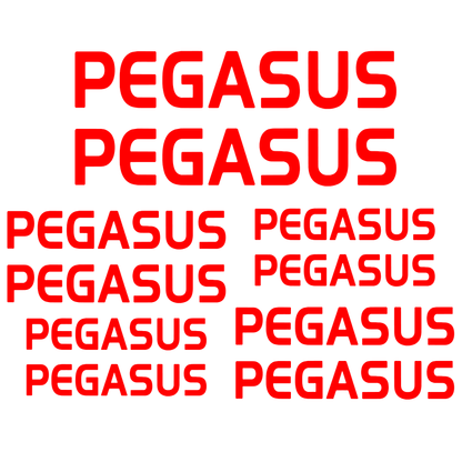 Set Stickere Bicicletă PEGASUS – 10 Piese – Autocolante Cadru Bicicletă