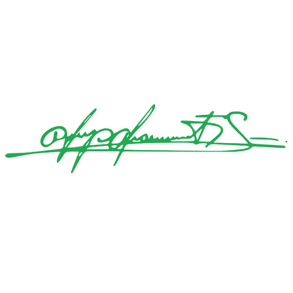 Sticker auto moto decorativ, model semnatura, pentru bara, faruri, capota sau geam