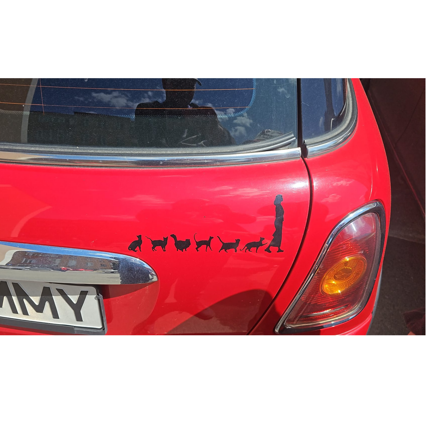 Sticker femeie cu pisici
