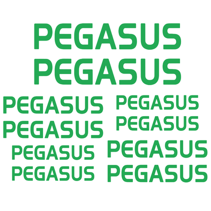Set Stickere Bicicletă PEGASUS – 10 Piese – Autocolante Cadru Bicicletă
