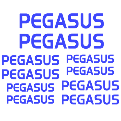 Set Stickere Bicicletă PEGASUS – 10 Piese – Autocolante Cadru Bicicletă