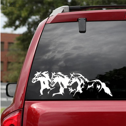 Sticker auto rezistent, herghelie de cai
