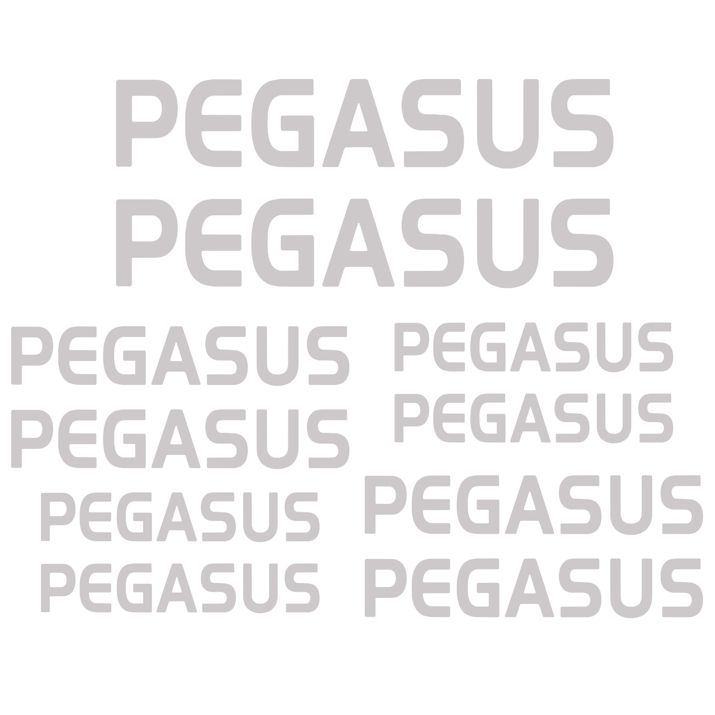 Set Stickere Bicicletă PEGASUS – 10 Piese – Autocolante Cadru Bicicletă