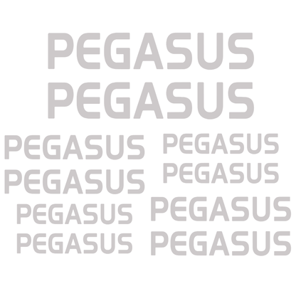 Set Stickere Bicicletă PEGASUS – 10 Piese – Autocolante Cadru Bicicletă