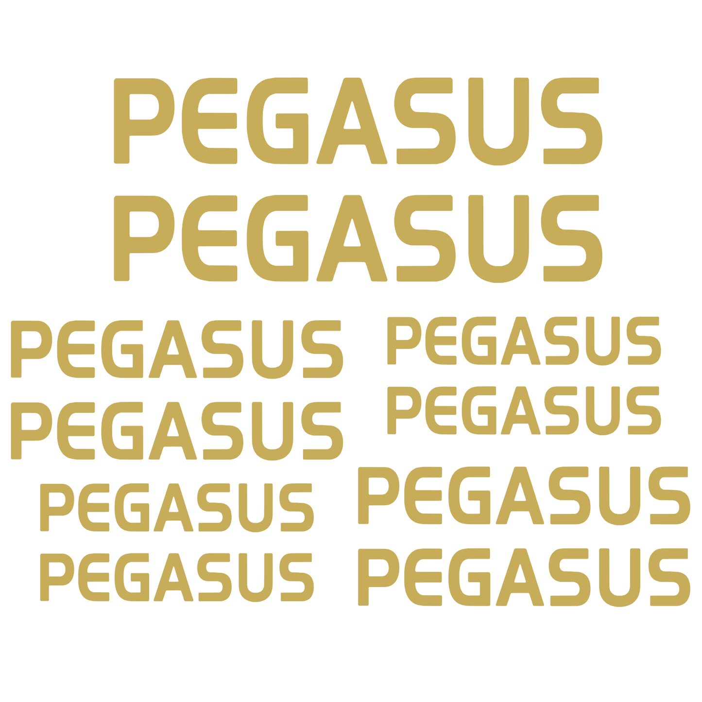 Set Stickere Bicicletă PEGASUS – 10 Piese – Autocolante Cadru Bicicletă