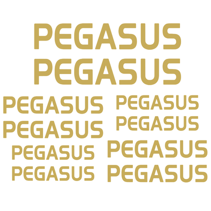 Set Stickere Bicicletă PEGASUS – 10 Piese – Autocolante Cadru Bicicletă