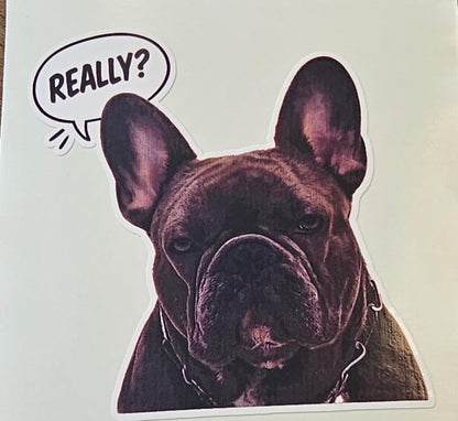 Sticker auto rezistent, bulldog francez, really