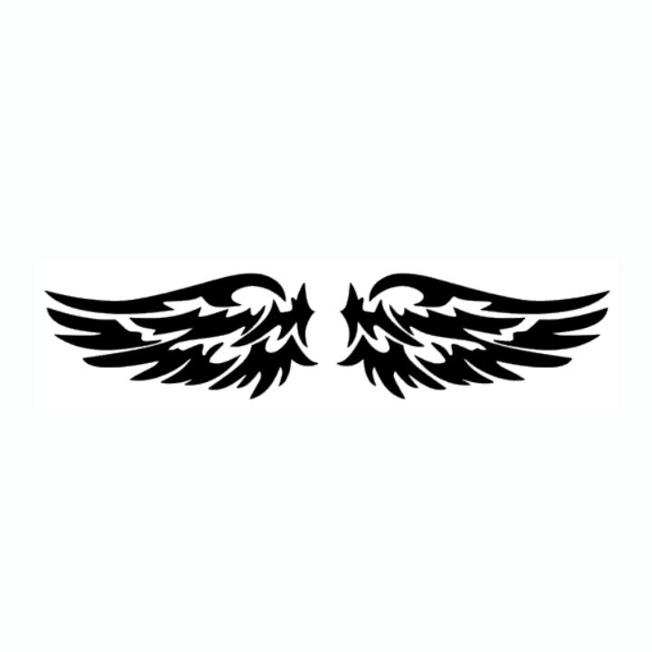 Sticker Aripi