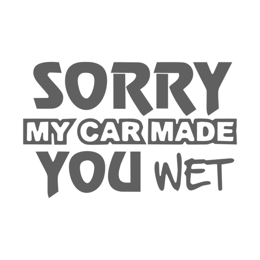 Sticker Sorry, my car made you wet