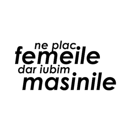 OFERTA LIMITATA Sticker Ne plac femeile dar iubim masinile